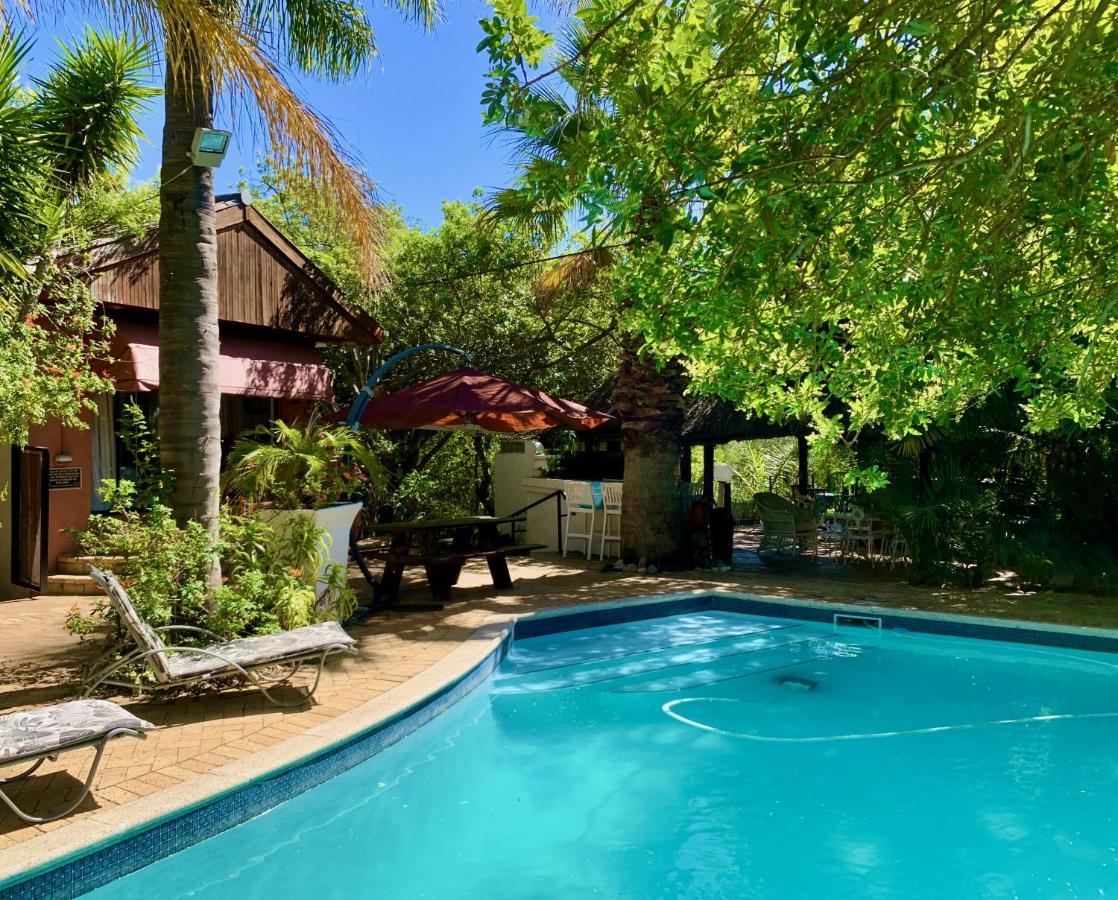 The Little Hideaway Guesthouse Stellenbosch Exteriér fotografie