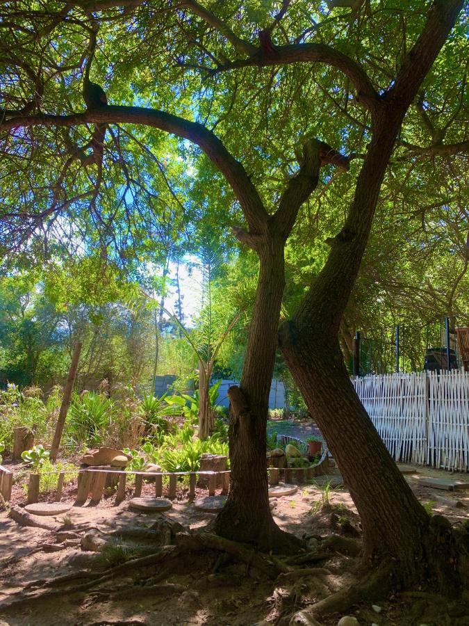 The Little Hideaway Guesthouse Stellenbosch Exteriér fotografie
