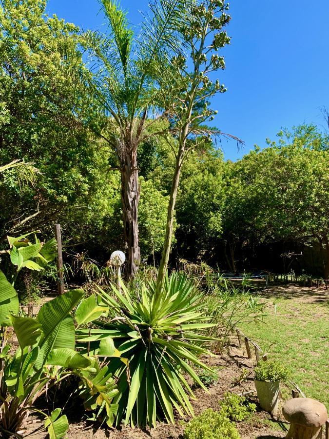 The Little Hideaway Guesthouse Stellenbosch Exteriér fotografie